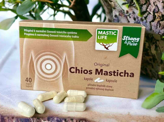 What Is the Daily Recommended Dose of Mastic Gum and Why?