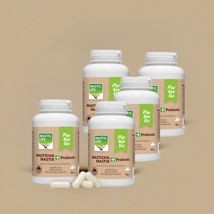 Mastic+ Prebiotic Economy Long-Term Mastic Therapy (800 capsules) Masticlife